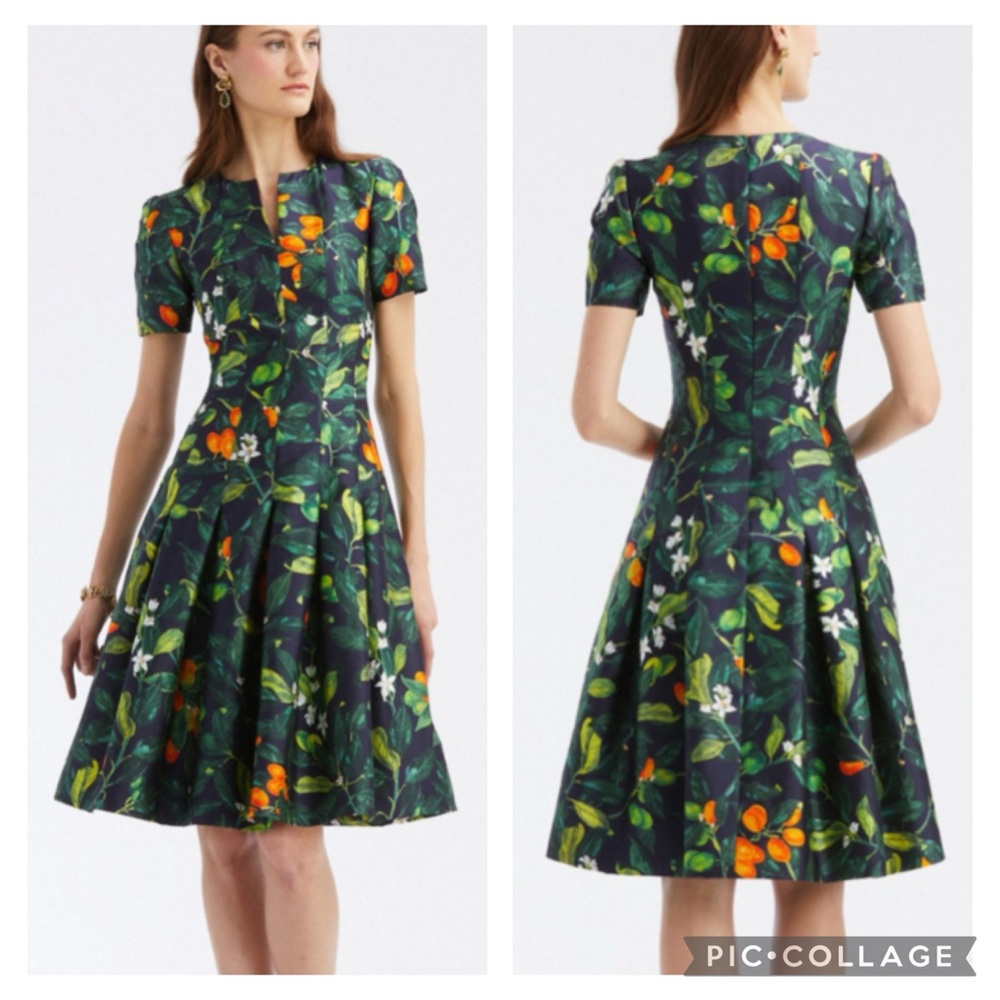 Oscar De La Renta Fortunella Split Neck A-Line 2022 Dress NWT Size 16